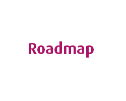 Summit roadmap_pink